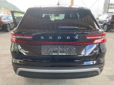 Skoda Kodiaq Gebrauchtwagen