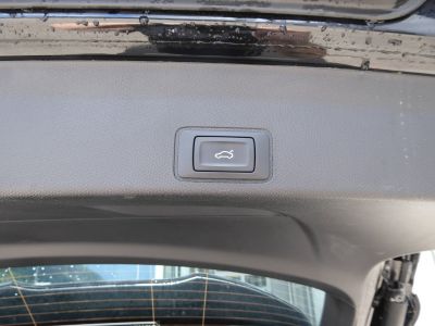 Cupra Terramar Gebrauchtwagen Cupra Terramar Gebrauchtwagen