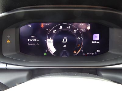 Cupra Terramar Gebrauchtwagen Cupra Terramar Gebrauchtwagen