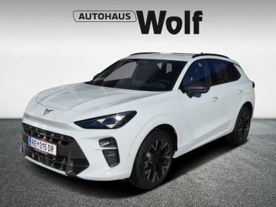 Cupra Terramar Gebrauchtwagen