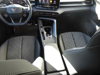 Cupra Terramar Gebrauchtwagen