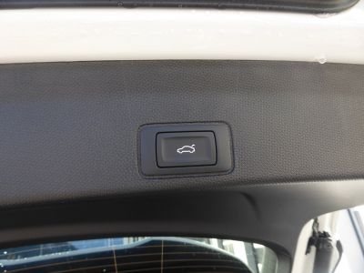 Cupra Terramar Gebrauchtwagen