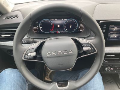 Skoda Kamiq Gebrauchtwagen