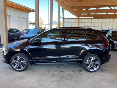 Skoda Karoq Gebrauchtwagen