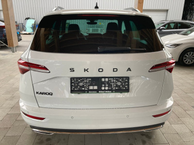 Skoda Karoq Gebrauchtwagen