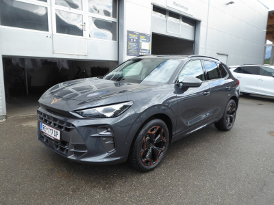 Cupra Terramar Gebrauchtwagen