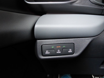Cupra Terramar Gebrauchtwagen