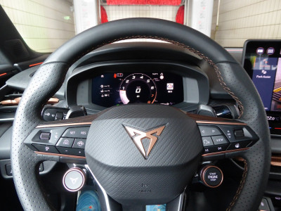 Cupra Terramar Gebrauchtwagen