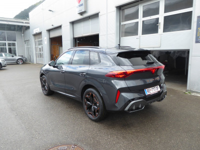 Cupra Terramar Gebrauchtwagen