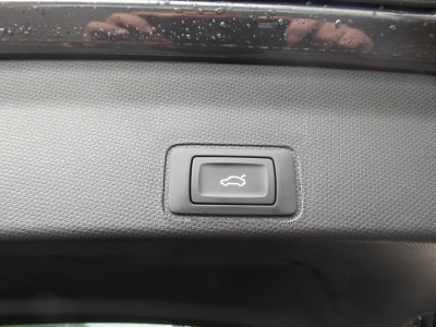 Cupra Terramar Gebrauchtwagen