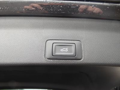 Cupra Terramar Gebrauchtwagen Cupra Terramar Gebrauchtwagen
