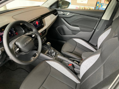 Skoda Kamiq Gebrauchtwagen