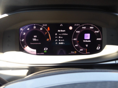 Cupra Terramar Gebrauchtwagen