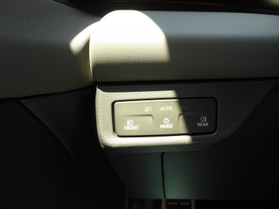 Cupra Terramar Gebrauchtwagen