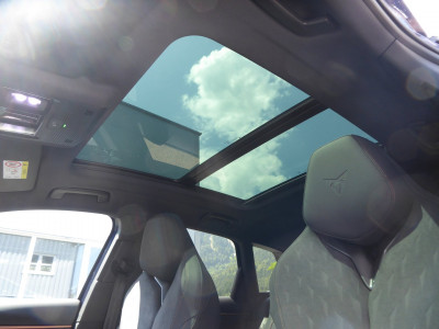 Cupra Terramar Gebrauchtwagen Cupra Terramar Gebrauchtwagen