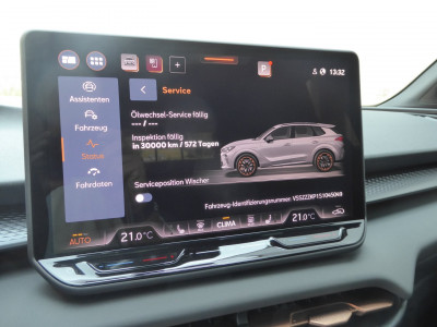 Cupra Terramar Gebrauchtwagen Cupra Terramar Gebrauchtwagen