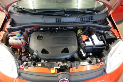 Fiat Panda Gebrauchtwagen
