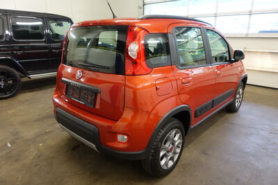 Fiat Panda Gebrauchtwagen
