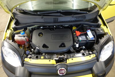 Fiat Panda Gebrauchtwagen
