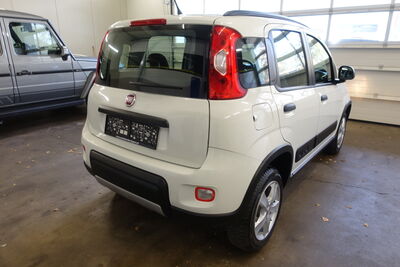 Fiat Panda Gebrauchtwagen