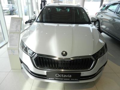 Skoda Octavia Gebrauchtwagen