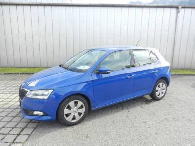 Skoda Fabia Gebrauchtwagen