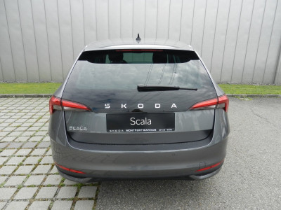 Skoda Scala Gebrauchtwagen