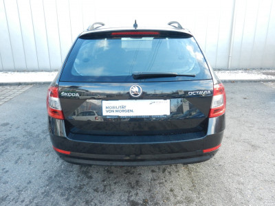 Skoda Octavia Gebrauchtwagen