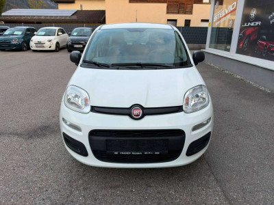 Fiat Panda Gebrauchtwagen Fiat Panda Gebrauchtwagen