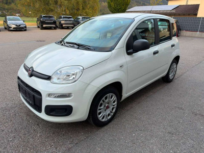 Fiat Panda Gebrauchtwagen Fiat Panda Gebrauchtwagen