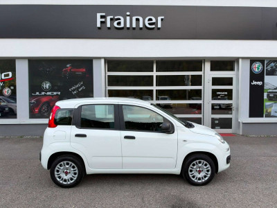 Fiat Panda Gebrauchtwagen Fiat Panda Gebrauchtwagen