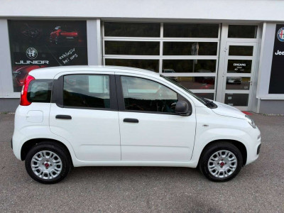 Fiat Panda Gebrauchtwagen Fiat Panda Gebrauchtwagen