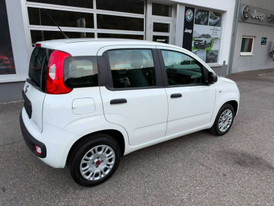 Fiat Panda Gebrauchtwagen Fiat Panda Gebrauchtwagen