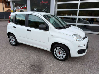 Fiat Panda Gebrauchtwagen Fiat Panda Gebrauchtwagen
