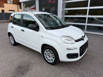 Fiat Panda Gebrauchtwagen Fiat Panda Gebrauchtwagen