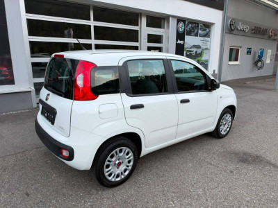 Fiat Panda Gebrauchtwagen Fiat Panda Gebrauchtwagen