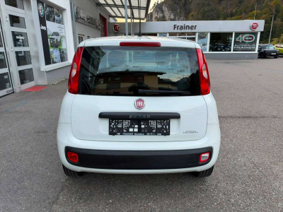 Fiat Panda Gebrauchtwagen Fiat Panda Gebrauchtwagen