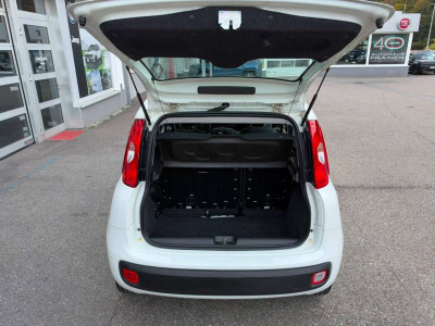 Fiat Panda Gebrauchtwagen Fiat Panda Gebrauchtwagen