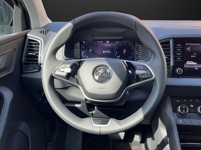 Skoda Karoq Gebrauchtwagen Skoda Karoq Gebrauchtwagen