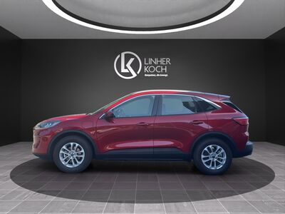 Ford Kuga Gebrauchtwagen Ford Kuga Gebrauchtwagen