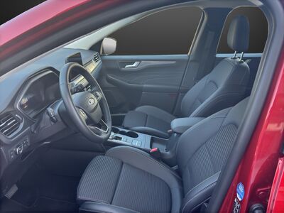 Ford Kuga Gebrauchtwagen Ford Kuga Gebrauchtwagen