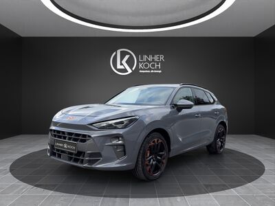 Cupra Terramar Gebrauchtwagen