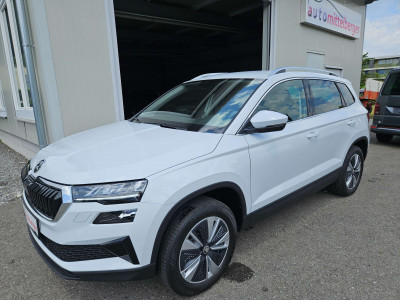 Skoda Karoq Gebrauchtwagen