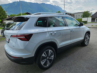 Skoda Karoq Gebrauchtwagen