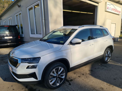 Skoda Karoq Gebrauchtwagen