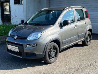 Fiat Panda Gebrauchtwagen