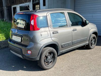 Fiat Panda Gebrauchtwagen