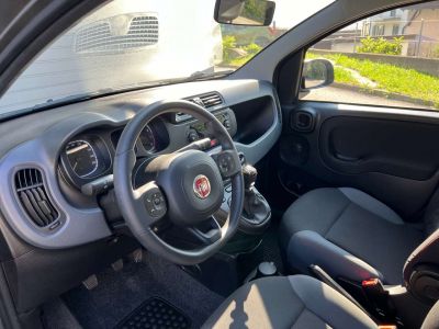 Fiat Panda Gebrauchtwagen