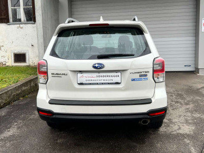 Subaru Forester Gebrauchtwagen
