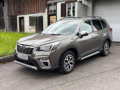 Subaru Forester Gebrauchtwagen Subaru Forester Gebrauchtwagen